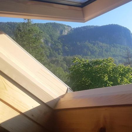 Apartma Nina Bohinj Bagian luar foto