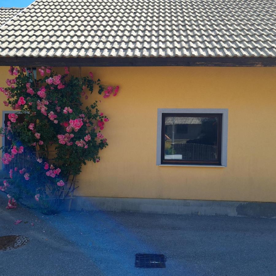 Apartma Nina Bohinj Bagian luar foto